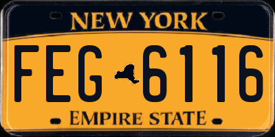 NY license plate FEG6116