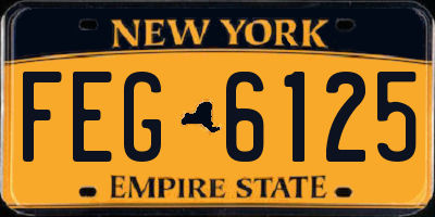 NY license plate FEG6125