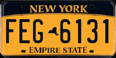 NY license plate FEG6131