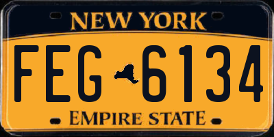 NY license plate FEG6134
