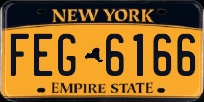 NY license plate FEG6166