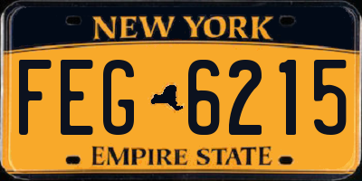 NY license plate FEG6215