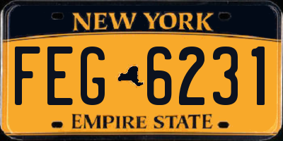 NY license plate FEG6231