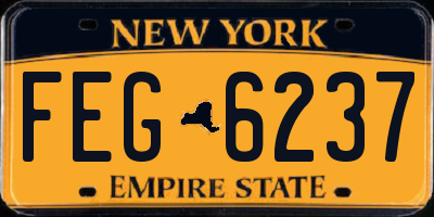 NY license plate FEG6237
