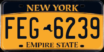 NY license plate FEG6239