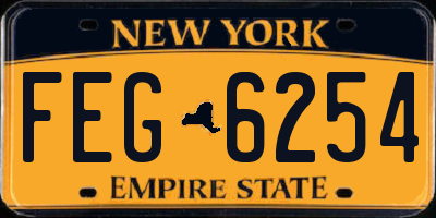 NY license plate FEG6254