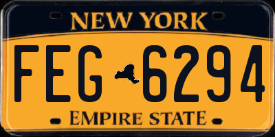 NY license plate FEG6294