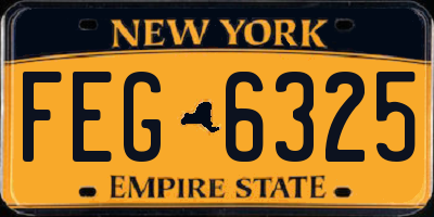 NY license plate FEG6325
