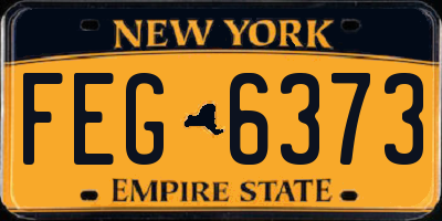 NY license plate FEG6373