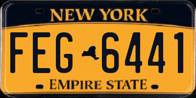 NY license plate FEG6441