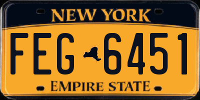 NY license plate FEG6451