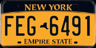 NY license plate FEG6491