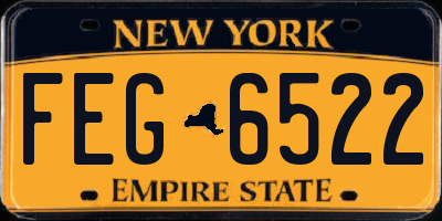 NY license plate FEG6522