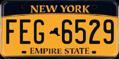 NY license plate FEG6529