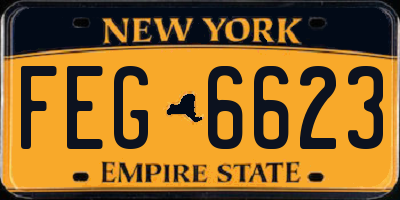 NY license plate FEG6623