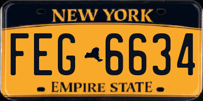 NY license plate FEG6634