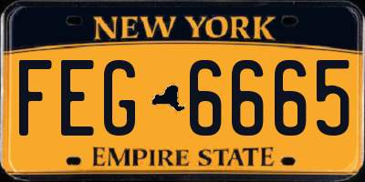 NY license plate FEG6665