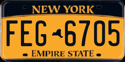 NY license plate FEG6705
