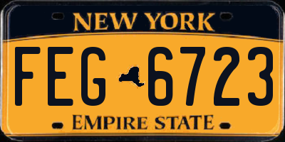 NY license plate FEG6723