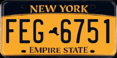 NY license plate FEG6751