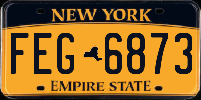 NY license plate FEG6873