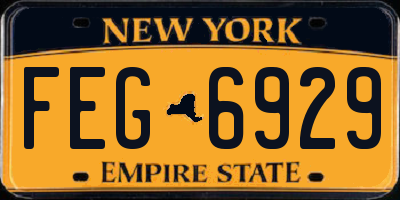 NY license plate FEG6929