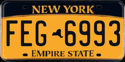 NY license plate FEG6993