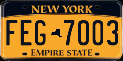 NY license plate FEG7003