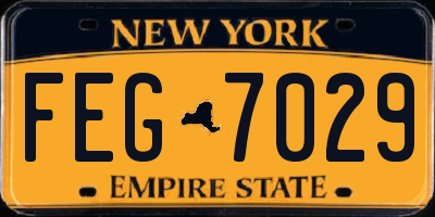 NY license plate FEG7029