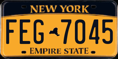 NY license plate FEG7045