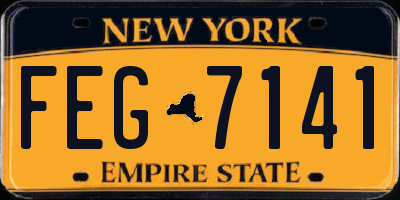 NY license plate FEG7141