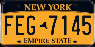 NY license plate FEG7145