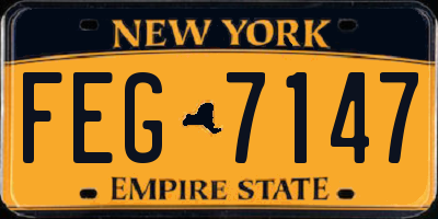 NY license plate FEG7147