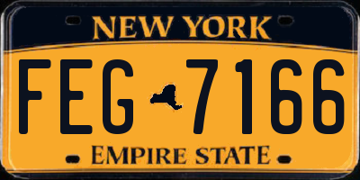 NY license plate FEG7166