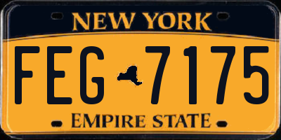 NY license plate FEG7175