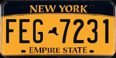 NY license plate FEG7231