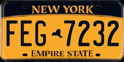 NY license plate FEG7232