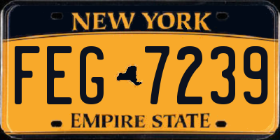 NY license plate FEG7239