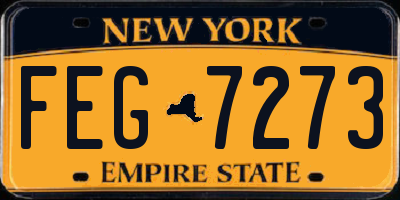NY license plate FEG7273