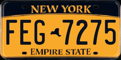 NY license plate FEG7275