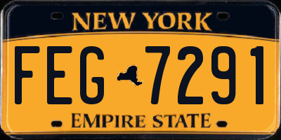 NY license plate FEG7291