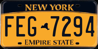 NY license plate FEG7294