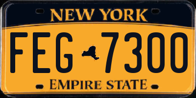 NY license plate FEG7300