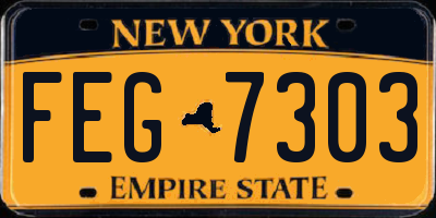 NY license plate FEG7303