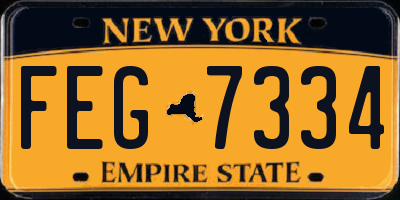 NY license plate FEG7334