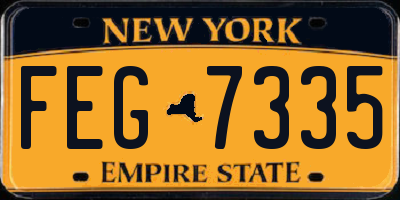 NY license plate FEG7335