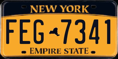 NY license plate FEG7341