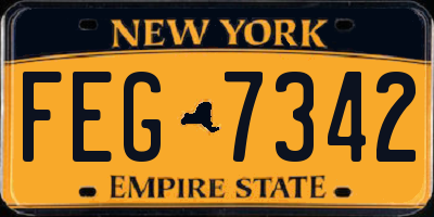 NY license plate FEG7342