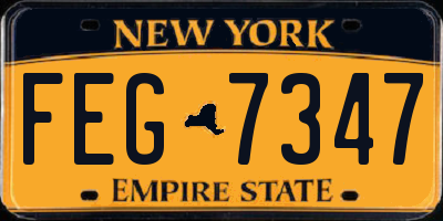 NY license plate FEG7347