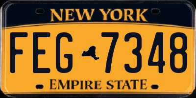 NY license plate FEG7348